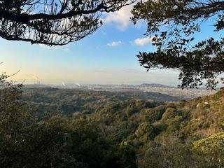 登山